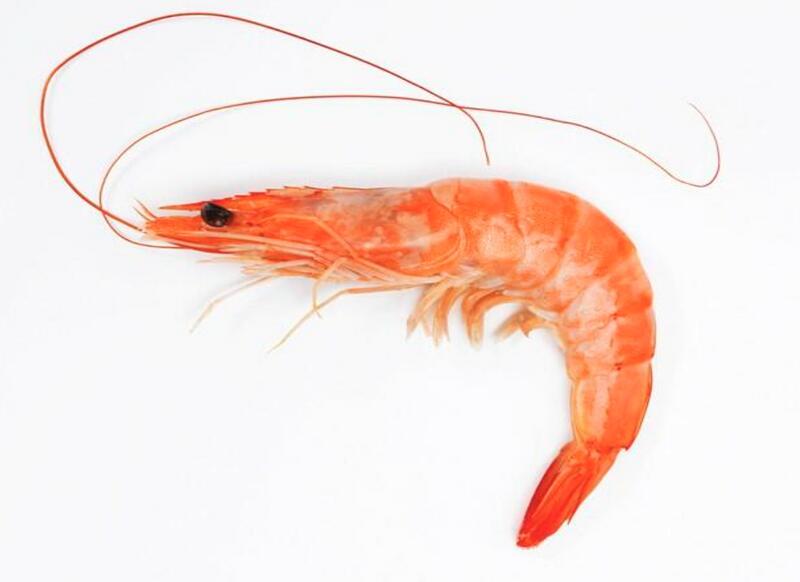 Whole Shrimp