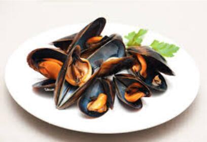 Black Mussel